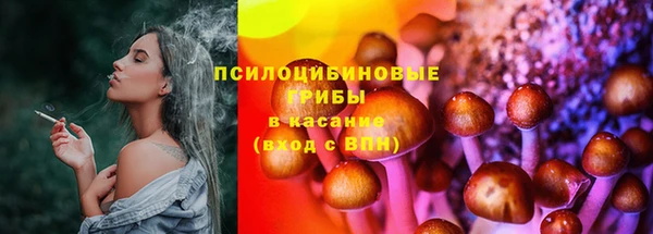 гидра Алзамай